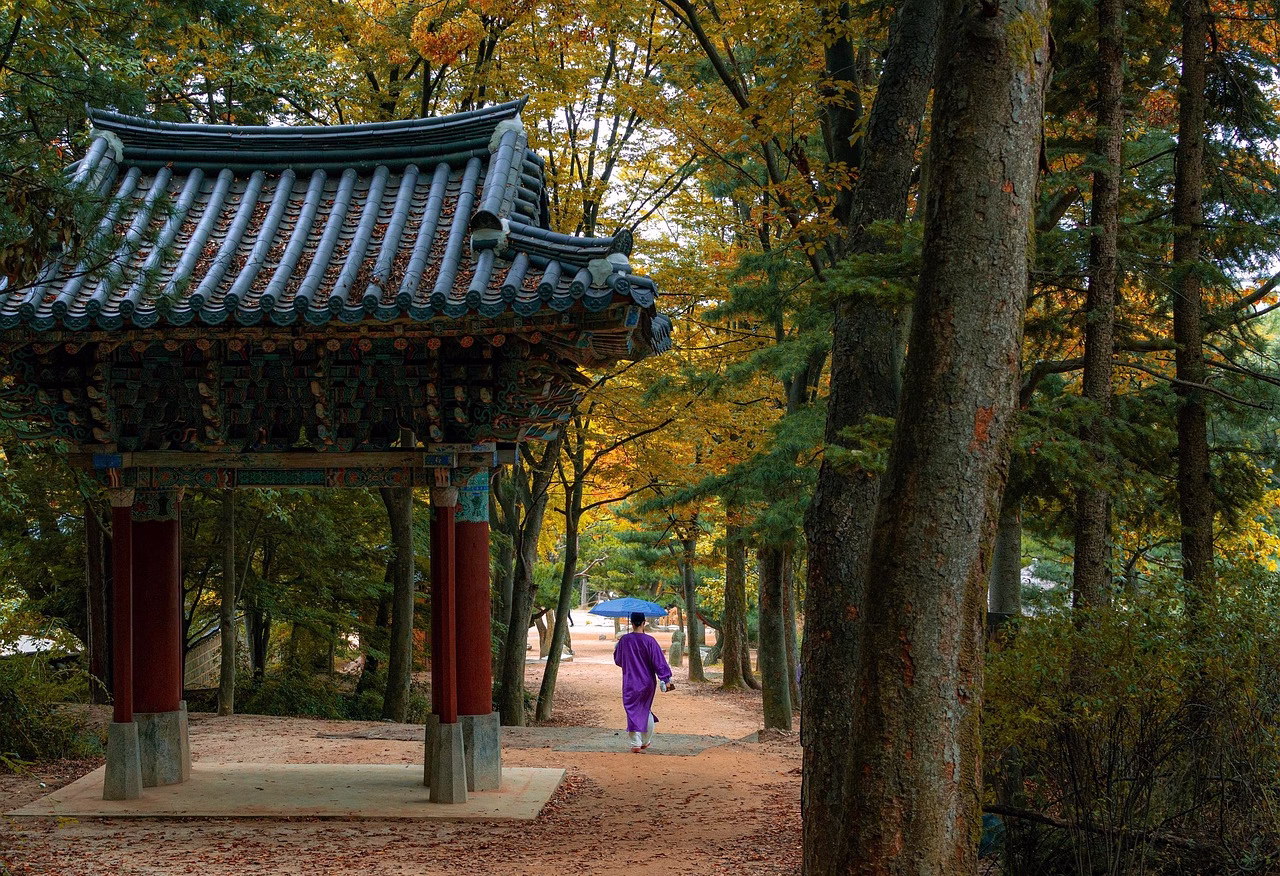 전통 한옥 정원에서 차를 마시며 휴식을 취하는 커플의 모습