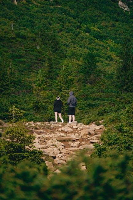 아름다운 산책로를 걷는 커플의 모습을 담은 이미지
