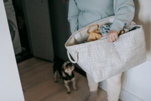 강아지 방석 세탁 빈도와 건강 관리법