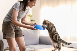 고양이 성격 유형 분석으로 깊은 유대감 만들기