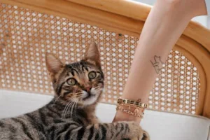 고양이 캣타워 선택 가이드와 꿀팁