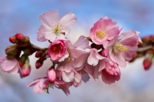 계절별 가족 여행지 추천과 추억 만들기