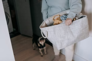 반려동물 옷 세탁법 완벽 정리