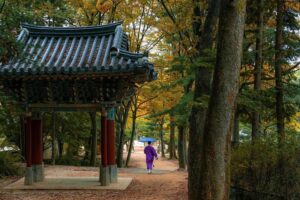 주말여행 추천 당일치기 코스 5선