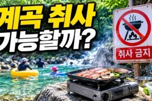 계곡에서 취사해도 될까? 물놀이 전 확인할 금지사항 8가지