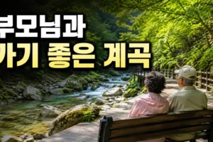부모님과 가기 좋은 계곡 6곳: 평탄한 길·벤치·화장실 체크 가이드