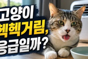 고양이 헥헥거림, 더워서일까? 정상 행동과 응급 신호 구별법