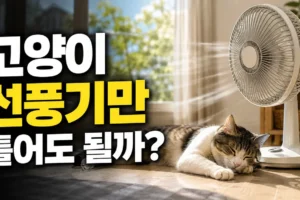 고양이 선풍기만 틀어도 될까? 에어컨 없이 공기 흐름과 실내온도 관리하는 법