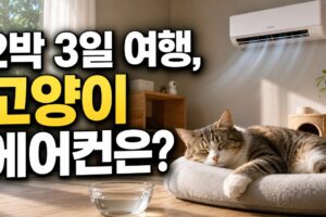 2박 3일 여행, 고양이 에어컨 켜두기? 냉방·급수·방문자 결정 가이드