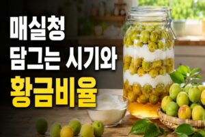 매실청 담그는 시기와 황금비율: 곰팡이·발효 실패 줄이는 12가지 방법