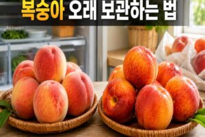 복숭아 오래 보관하는 법: 딱딱한 복숭아와 물복 차이부터 후숙·냉장 보관까지