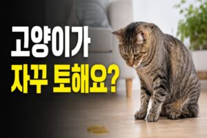 고양이가 자꾸 토해요? 원인부터 응급 신호·해결방법까지
