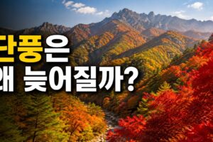 단풍이 늦어지는 이유: 첫 단풍 20%부터 절정 80%까지 보는 법