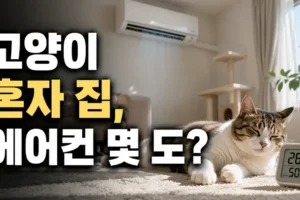 고양이 혼자 집에 있을 때 에어컨 몇 도? 초보 집사를 위한 실측 기준 가이드