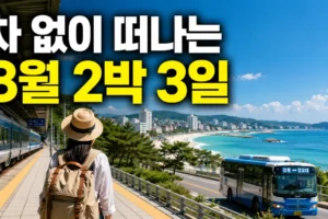 자차 없이 떠나는 8월 국내여행: 기차·버스로 완성하는 2박 3일 코스