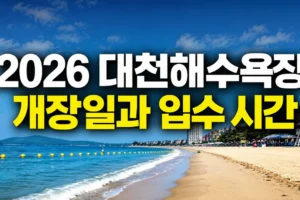 2026 대천해수욕장 개장일·입수 시간·야간 개장 총정리