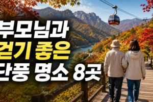 부모님과 걷기 좋은 전국 단풍 명소 8곳: 케이블카·짧은 산책 코스 가이드