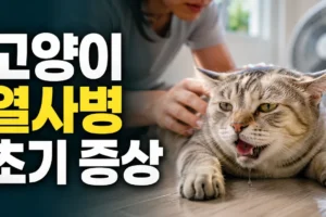 고양이 열사병 초기 증상: 헐떡임·침·혼란·구토를 조기에 알아보는 법