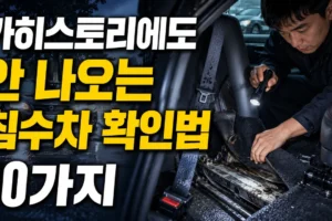 침수차 확인 방법 10가지: 카히스토리에 기록이 없어도 봐야 할 곳