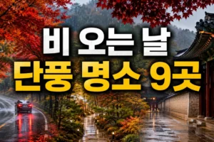 비 오는 날 가기 좋은 단풍 명소 9곳: 드라이브·고궁·수목원 코스
