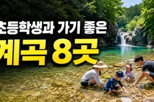 초등학생과 가기 좋은 계곡 8곳: 얕은 곳·깊은 곳 구분과 안전한 선택법