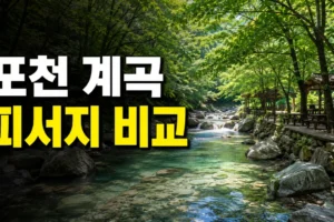 포천 계곡 피서지 비교: 무료 주차·화장실·그늘 많은 곳 총정리