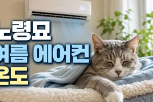 노령묘 여름 에어컨 온도 가이드: 기저질환별 24~26℃ 맞춤 관리법