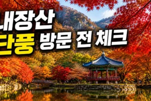 내장산국립공원 단풍 명소 방문 전 체크: 주차·혼잡 시간·사진 포인트 완벽 가이드