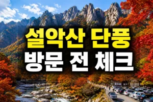 설악산 단풍 명소 방문 전 체크: 주차·혼잡 시간·사진 포인트 완벽 가이드