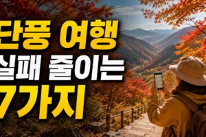단풍 여행 실패를 줄이는 7가지 체크법: 절정 날짜보다 현황이 중요한 이유
