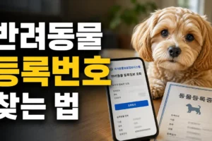 반려동물 등록번호를 잊어버렸을 때, 소유자 정보로 확인하는 방법