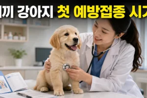 새끼 강아지 첫 예방접종 시기, 입양 후 첫 병원 방문 때 꼭 가져갈 기록