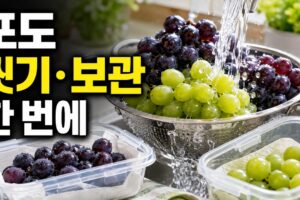 포도 씻는 법과 보관법: 송이째·알 분리 보관 비교부터 냉장·냉동까지