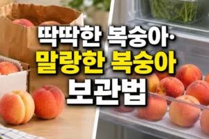 복숭아 오래 보관하는 법: 딱딱한 복숭아·말랑한 복숭아별 해결 가이드