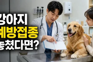 강아지 예방접종 일정 놓쳤을 때 병원에 꼭 확인할 10가지 질문｜재접종 기준 체크리스트