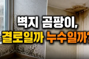 벽지 곰팡이 제거 방법: 결로·누수 구분부터 재발 방지까지