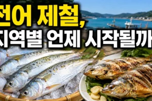 전어 제철 시기 총정리: 지역별 시작 시기와 용도별 손질법