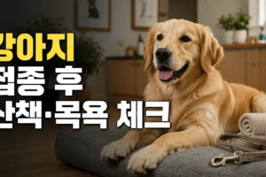 강아지 예방접종 후 산책·목욕 언제부터? 시간보다 먼저 볼 회복 상태 7가지