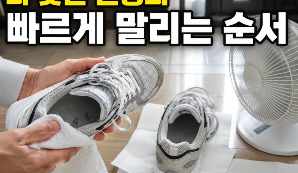 비 맞은 운동화, 세탁하지 않고 빠르게 말리는 순서 7단계