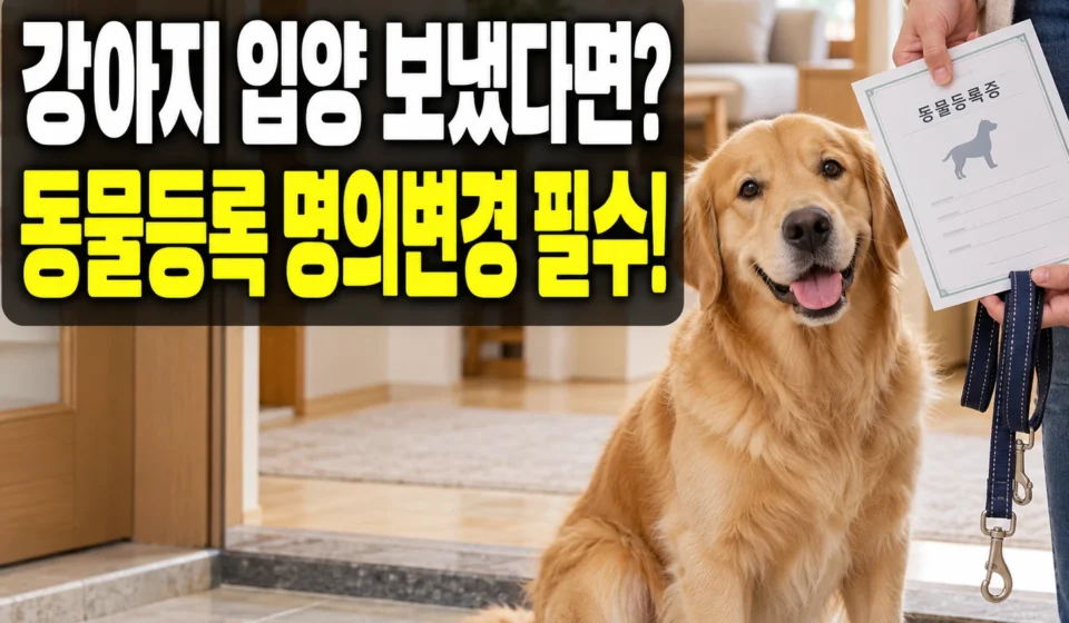 반려견을 다른 사람에게 보냈다면? 동물등록 소유자 변경 방법과 30일 신고 기한